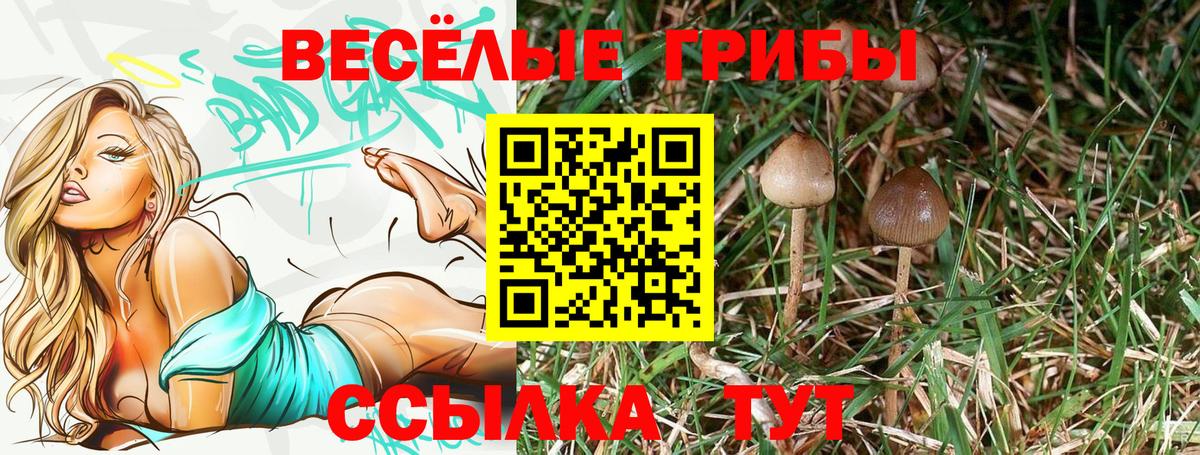 Галлюциногенные грибы Psilocybine cubensis  Вход с VPN  Ессентуки 